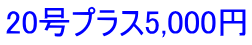 20号プラス5,000円